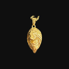 Gold Lion Pendant Necklace, Stainless Steel Necklace for Men, Lion Head Charm, 14K Gold Waterproof Necklace, Gift for Him, Hypoallergenic Jewelry